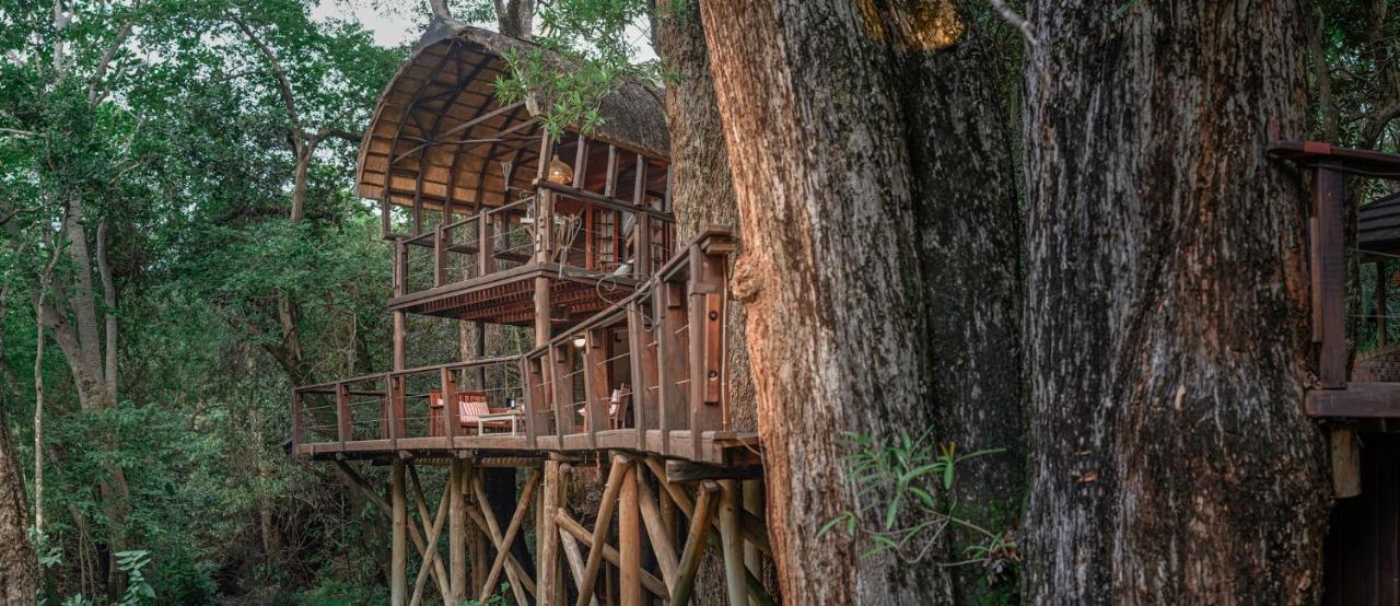 Serenity Mountain And Forest Lodge 말레라네 외부 사진