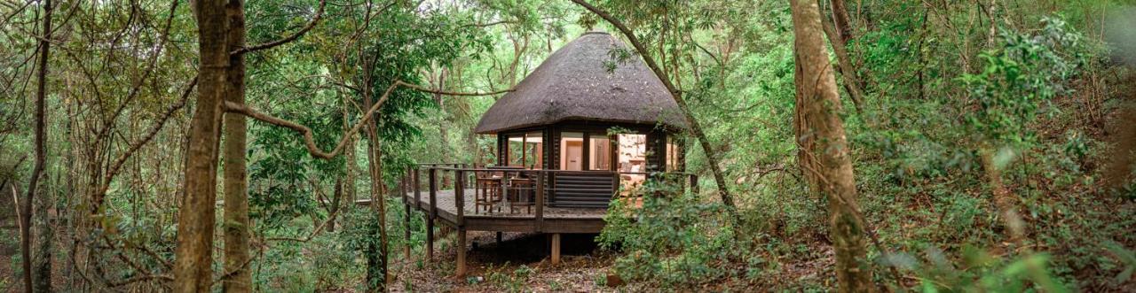 Serenity Mountain And Forest Lodge 말레라네 외부 사진