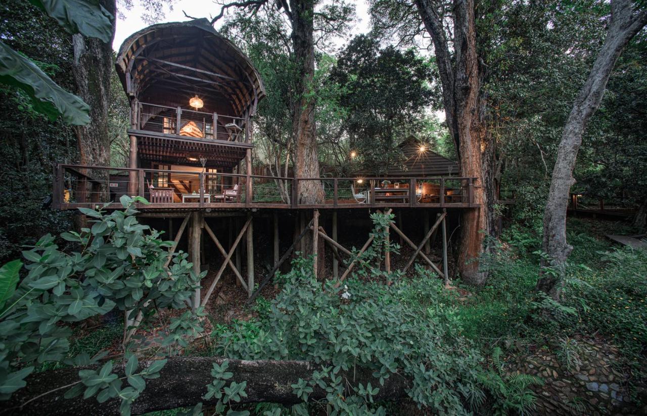 Serenity Mountain And Forest Lodge 말레라네 외부 사진
