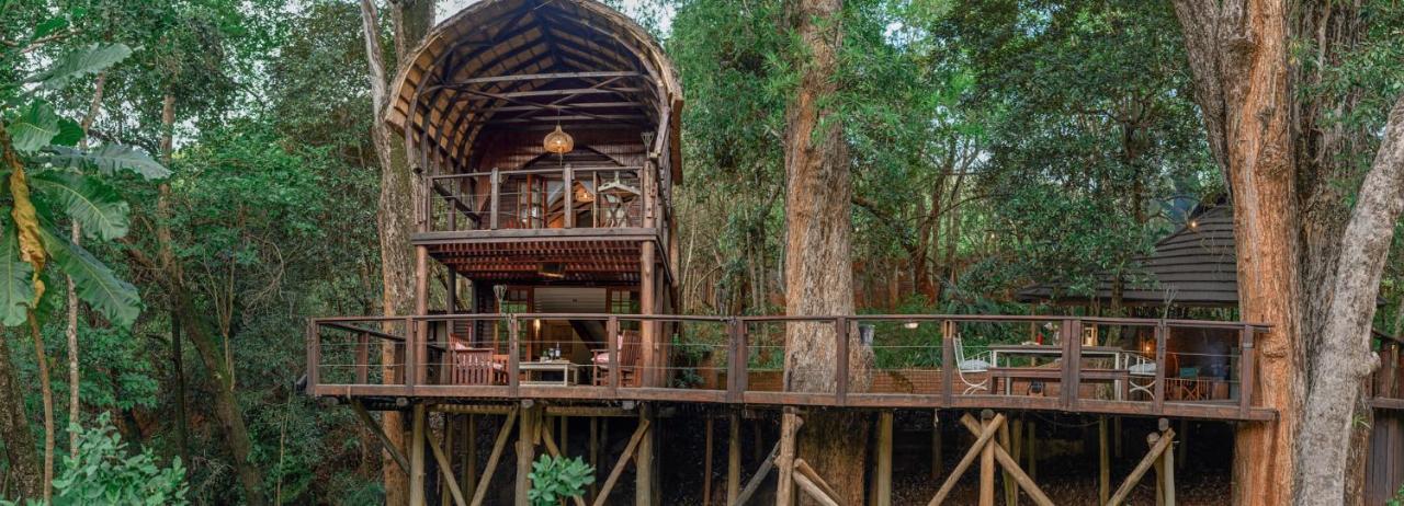 Serenity Mountain And Forest Lodge 말레라네 외부 사진