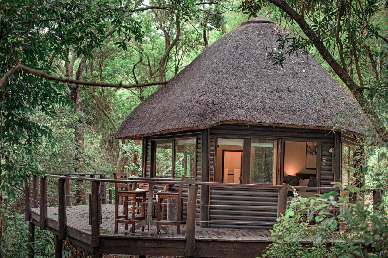 Serenity Mountain And Forest Lodge 말레라네 외부 사진