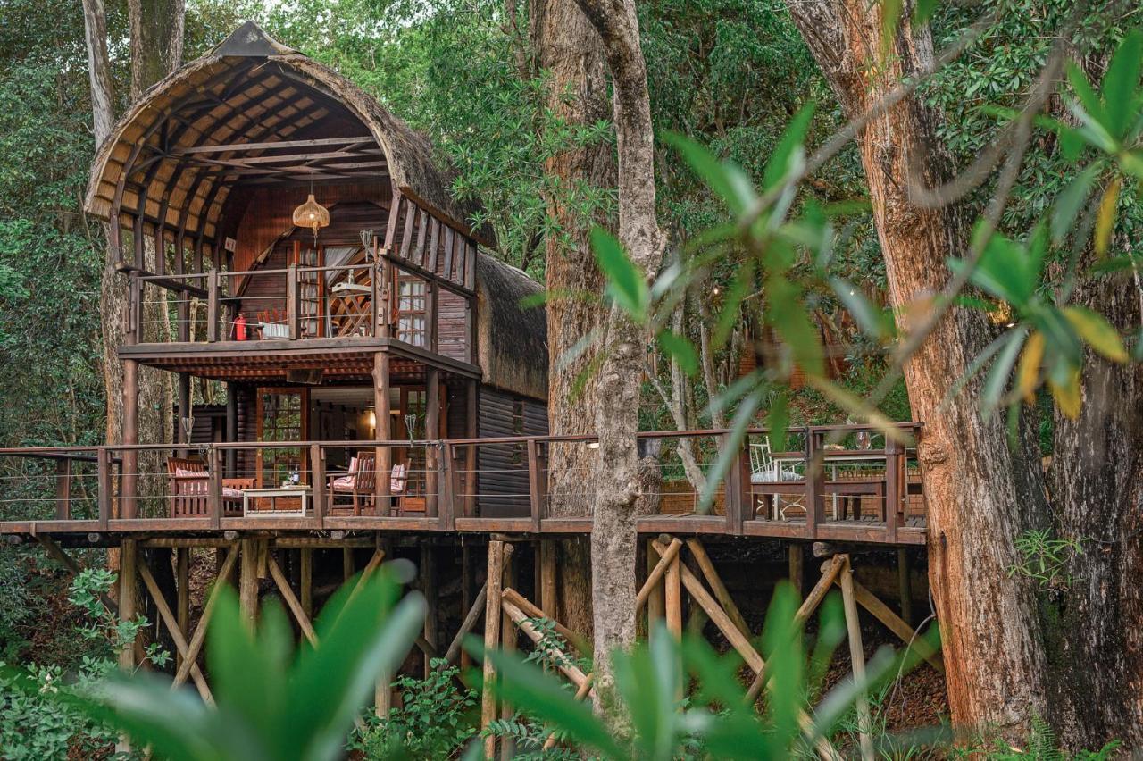 Serenity Mountain And Forest Lodge 말레라네 외부 사진