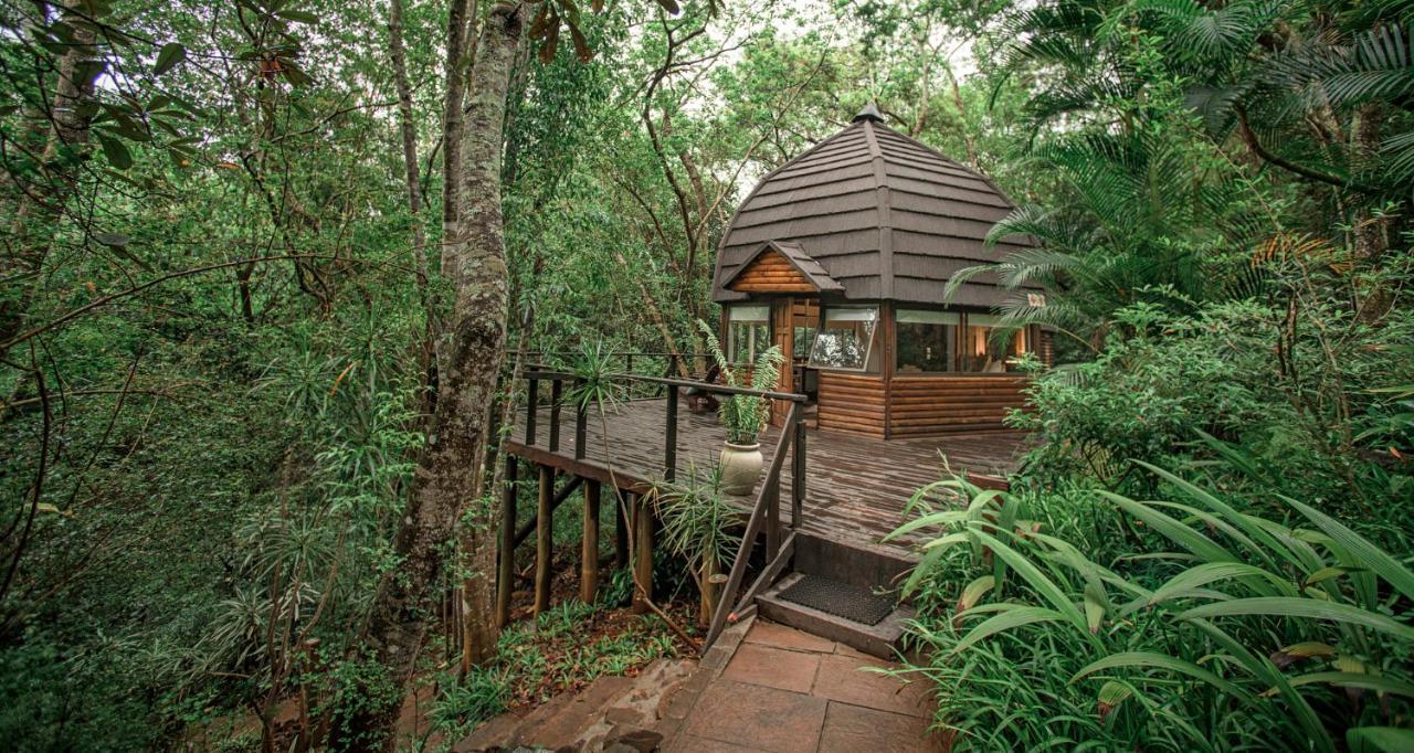 Serenity Mountain And Forest Lodge 말레라네 외부 사진
