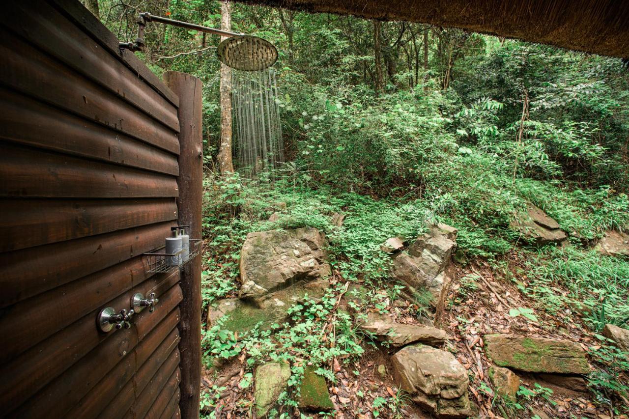 Serenity Mountain And Forest Lodge 말레라네 외부 사진